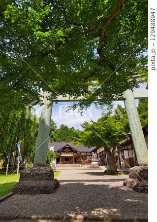 初夏の足羽神社 129488947