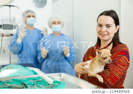 Woman owner holds and cuddles chihuahua pet after therapeutic manipulations in veterinary clinic 129489568