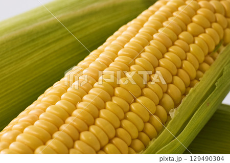 新鮮なとうもろこし 新鮮なとうもろこし 129490304