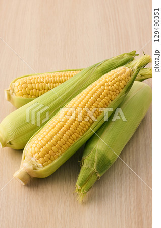 新鮮なとうもろこし 129490351