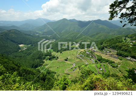 通り峠展望台からツエノ峰・丸山千枚田を望む 【三重県熊野市紀和町】 通り峠展望台からツエノ峰・丸山千枚田を望む 【三重県熊野市紀和町】 129490621