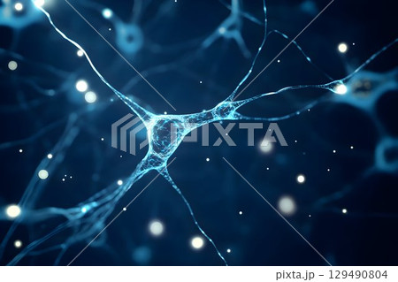 neural network, the human nervous system 129490804