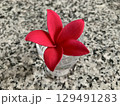 南国の赤いプルメリアの可憐な花｜癒しと彩りを届ける美しい熱帯の花 129491283