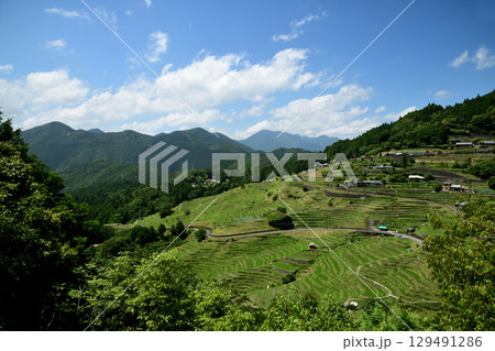 丸山千枚田　【三重県熊野市紀和町】 129491286