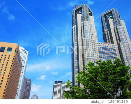 東京都庁と青空の風景 129491339