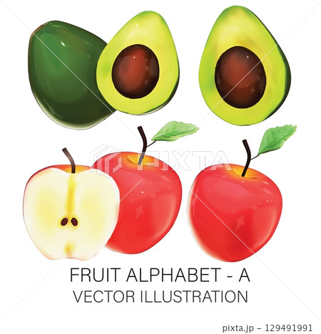 3D Vector Fruit Alphabet A Set: Realistic Apple and Avocado Illustration on White Background 129491991
