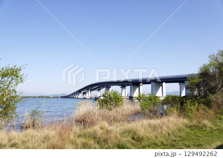 道の駅 びわ湖大橋米プラザから見た青空と琵琶湖大橋 129492262