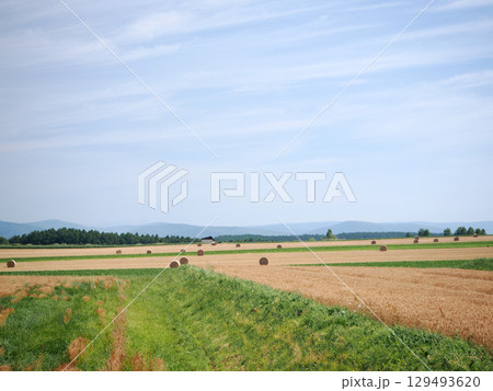 美瑛のパッチワークの路の風景 美瑛のパッチワークの路の風景 129493620