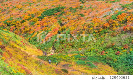 秋の栗駒山登山（産沼～東栗駒山） 129493631