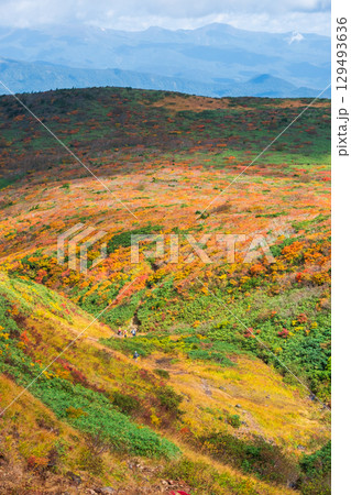 秋の栗駒山登山（産沼～東栗駒山） 129493636