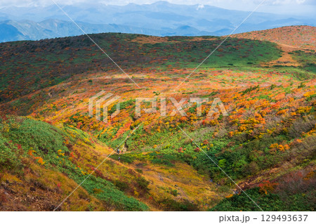 秋の栗駒山登山（産沼～東栗駒山） 129493637