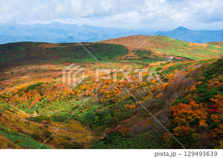 秋の栗駒山登山（産沼～東栗駒山） 129493639