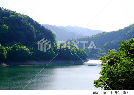 奥多摩の緑に囲まれた湖 129493685
