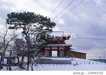 雪化粧した復元中の多賀城南門 129493702