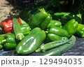 夏の畑で採れた旬の野菜 129494035