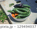 夏の畑で採れた旬の野菜 129494037