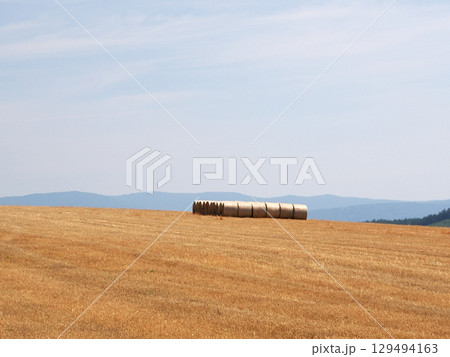 就実の丘に並べられた牧草ロール 129494163