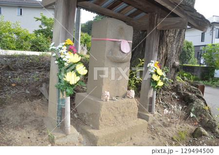 民家の軒先に咲く紫陽花 129494500