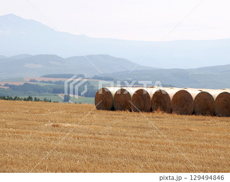 就実の丘に並べられた牧草ロール 就実の丘に並べられた牧草ロール 129494846