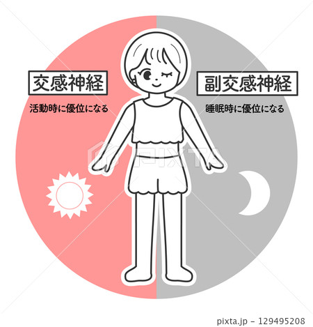 自律神経　交感神経と副交感神経のイメージイラスト 129495208