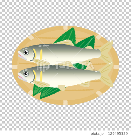 鮎 129495529