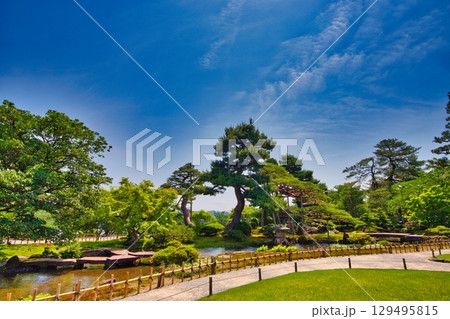初夏の名園 129495815