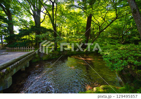 初夏の名園 初夏の名園 129495857