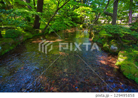 初夏の名園 初夏の名園 129495858