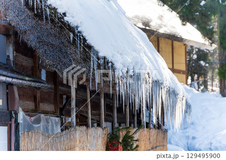 合掌造りの茅葺き屋根と雪、冬の風物詩　氷柱 129495900