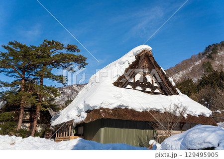 合掌造りの茅葺き屋根と雪、冬の風物詩 129495905