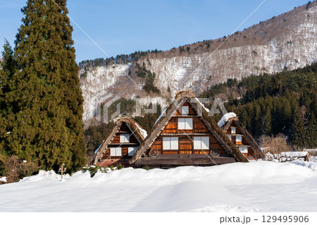 雪景色の白川郷・三つ子の合掌造り 129495906