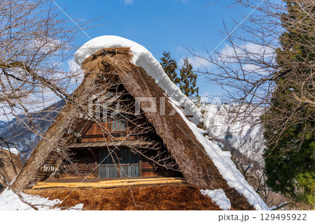 菅沼の合掌造り　茅葺き屋根 129495922