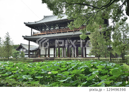 夏の東福寺　三門(京都市東山区) 129496398