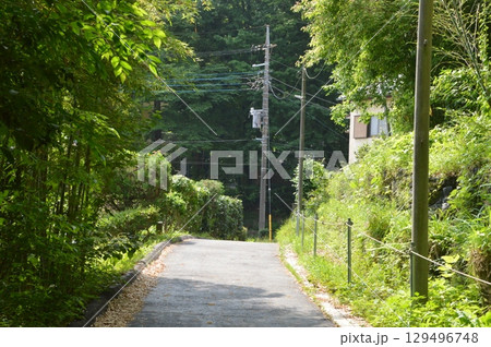 緑に囲まれた道 129496748