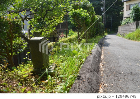 緑に囲まれた道 129496749
