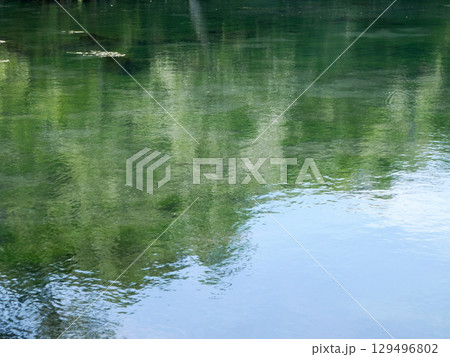 湧き水で出来た透明度の高い沼 湧き水で出来た透明度の高い沼 129496802