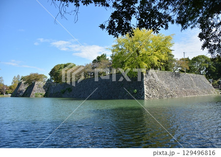 熊本県の八代城跡の風景（続百名城） 129496816