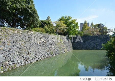 熊本県の八代城跡の風景（続百名城） 129496819