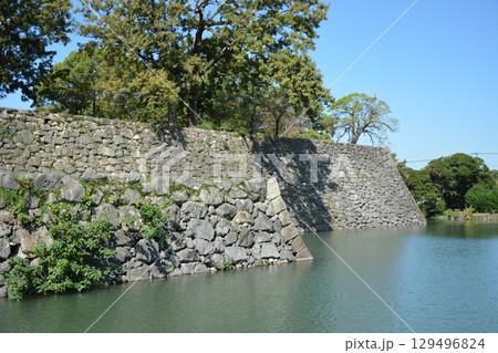 熊本県の八代城跡の風景（続百名城） 129496824