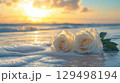 Serene White Roses on Sandy Beach with Gentle Waves and Golden Sunset in the Background 129498194