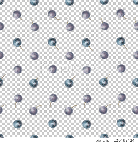 Seamless pattern with grapes. Watercolor illustration of ripe berries in a realistic style for packaging design, printing on fabric, kitchen textiles, dishes. 129498424