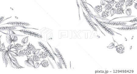 Rectangular frame with ears of wheat and branches of hops. Isolated pencil illustration in realistic style for bar design, wine list, interior design, printing on advertising brochures, labels. 129498429