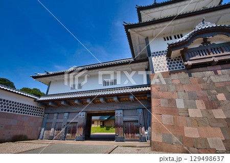 初夏の金沢城公園 初夏の金沢城公園 129498637
