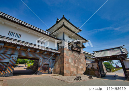 初夏の金沢城公園 初夏の金沢城公園 129498639