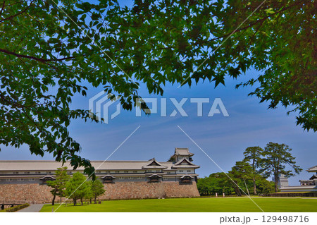 初夏の金沢城公園 初夏の金沢城公園 129498716