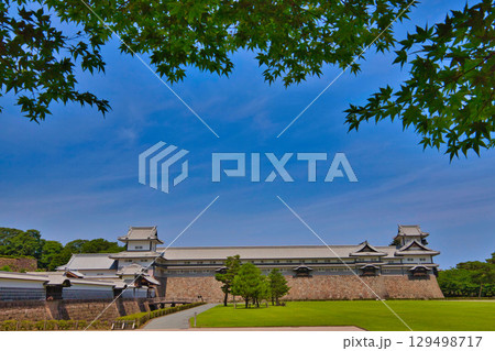 初夏の金沢城公園 初夏の金沢城公園 129498717