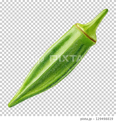Vibrant watercolor painting of fresh green okra pod showing detailed texture and natural beauty in realistic style Vibrant watercolor painting of fresh green okra pod showing detailed texture and natural beauty in realistic style 129498819