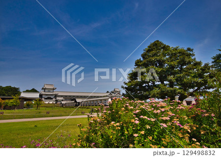 初夏の金沢城公園 初夏の金沢城公園 129498832