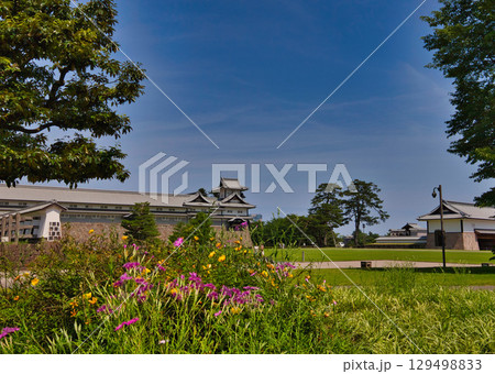 初夏の金沢城公園 129498833