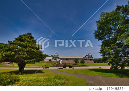 初夏の金沢城公園 129498834